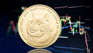 Dogecoin and Shiba Inu coin don't look too bearish now