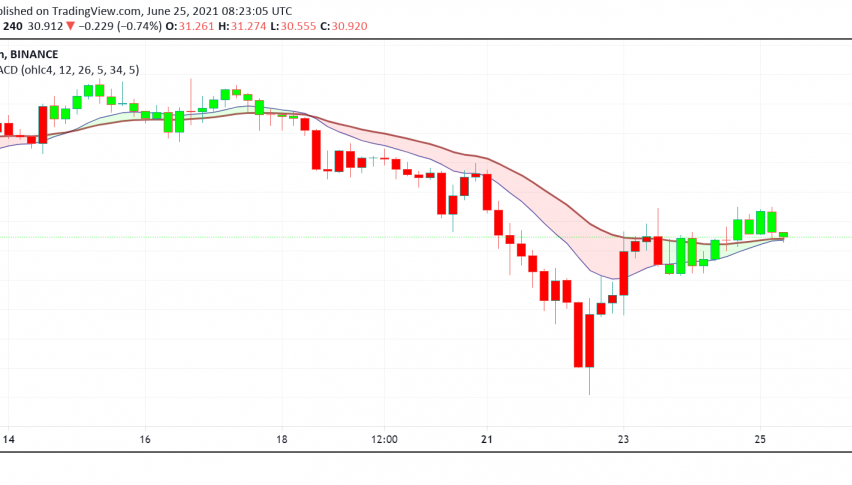 Should You Consider Buying Solana (SOL) Now?