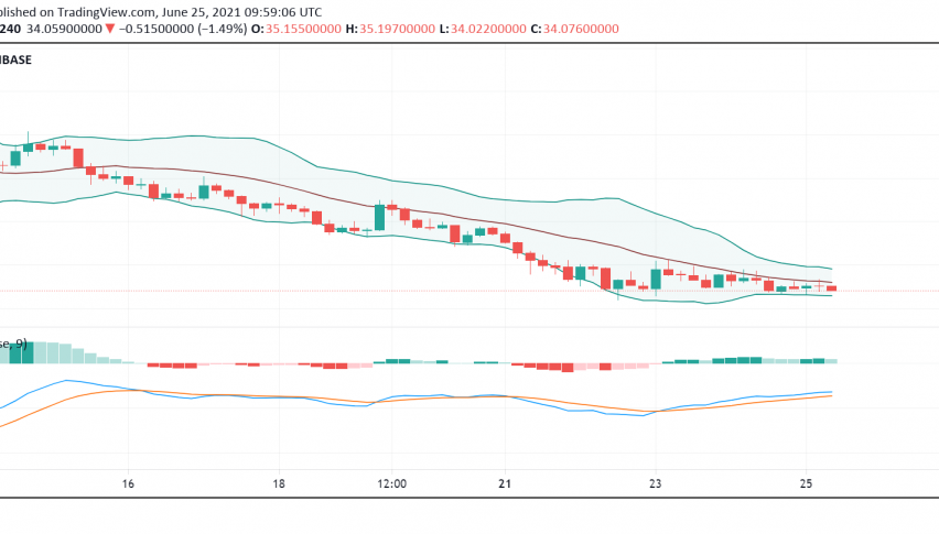 Internet Computer Protocol (ICP) Hit Hard Amid the Recent Downtrend