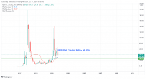 Neo coin (NEO) Price Prediction for 2021: Will the Token Bounce off the 20 and 50 SMA?