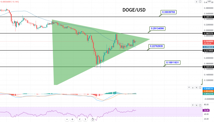 Dogecoin value chart live