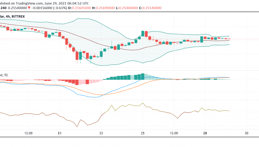 Dogecoin (DOGE) Subdued After Musk Drives Attention in Previous Session