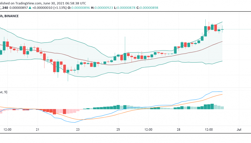 What's Happening With Shiba Inu (SHIB) a Day After Musk Drives Rally?