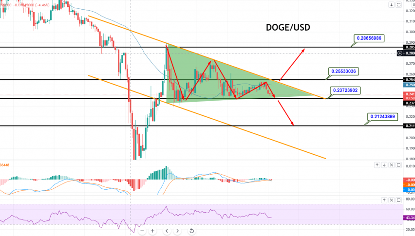Dogecoin - DOGE/USD Chart
