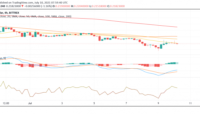How is Dogecoin (DOGE) Trading After Musk Drives Interest Again?