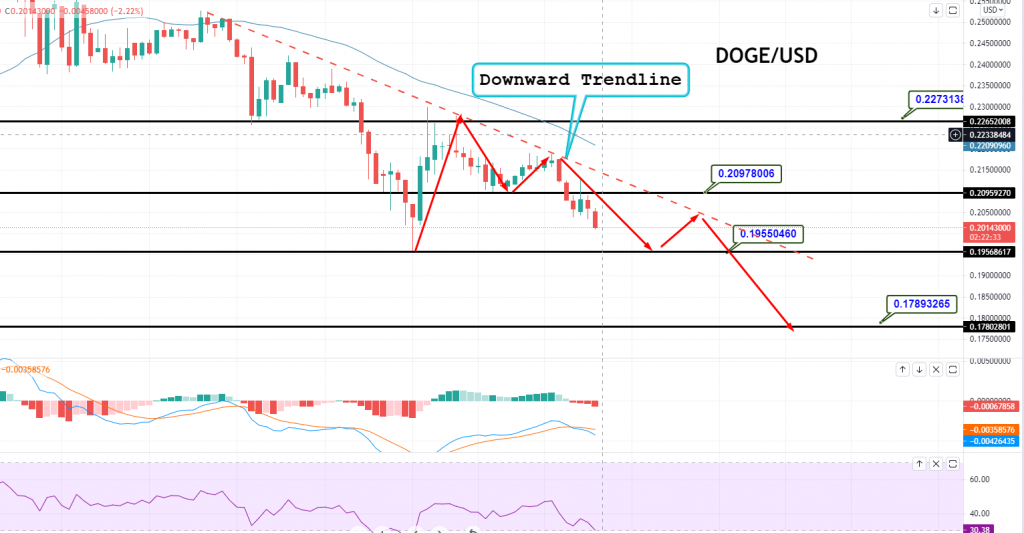 Dogecoin price chart today live dogeusd gold price