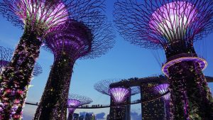 Singapore's Economy Contracts in Q2 as COVID-19 Restrictions Weigh
