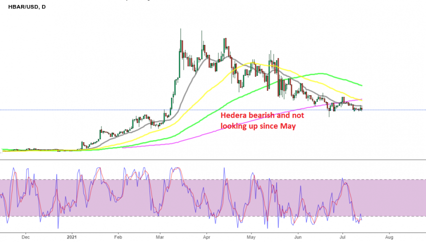 MAs continue to push Hedera Down