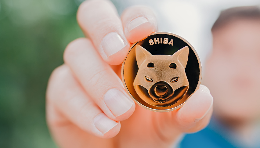 Shiba inu coin price in inr live today