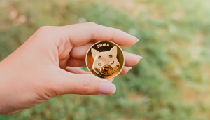 Shiba Inu finding support
