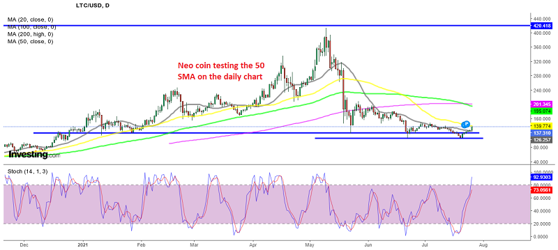 Wait for Another Pullback Down in Neo Coin Before Buying Long-Term, as ...