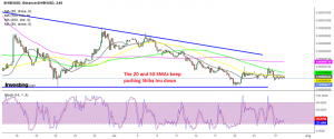 SHIB/USD still down, when most cryptos are bullish