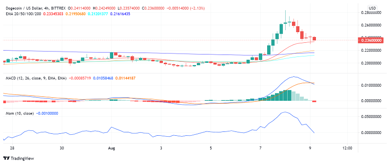 Can We See a Rally in Dogecoin (DOGE) Soon?