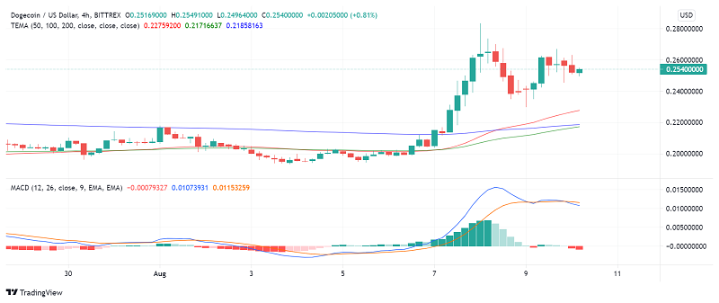 It's Hard Not to Take Dogecoin (DOGE) Seriously Anymore, Rally Continues