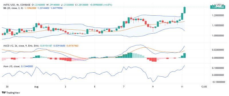 Polygon (MATIC) Strengthens Further: Good Time to Buy?