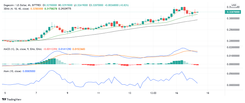 Dogecoin (DOGE) Set to Rally Higher: Here's Why