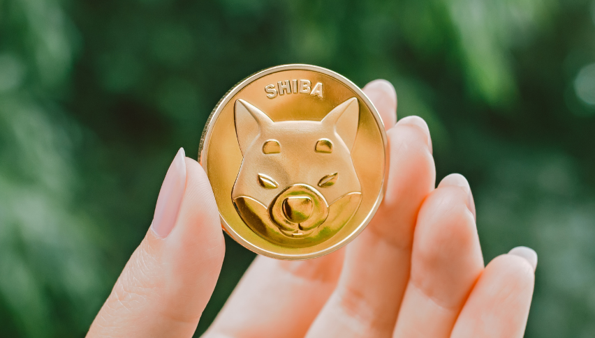 Shiba Inu Coin and Dogecoin Price Prediction – Price Action Looking  Increasingly Bearish for SHIB/USD and DOGE/USD - Forex News by FX Leaders