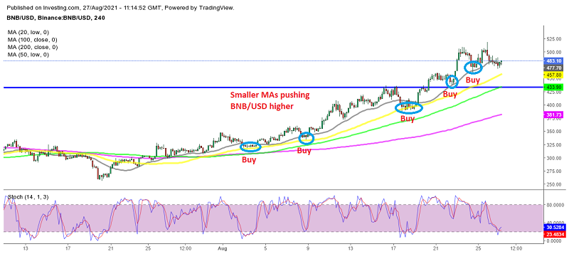 Binance Coin (BNB) Remains Among The Most Bullish Cryptos – Tempting To ...