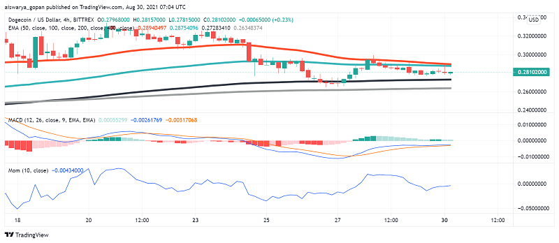 Dogecoin tradingview usdt