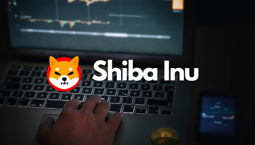 Community helping keep Shiba Inu up