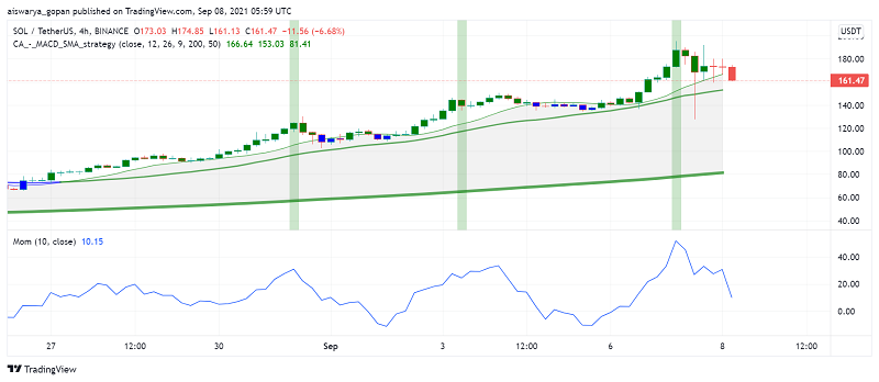 Solana (SOL) Recovers After Yesterday's Dip: Why is it on the Rise?