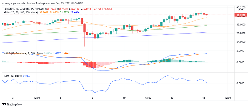 Is Polkadot (DOT) Getting Ready to Reclaim and Rise Above ATH? – FX Leaders