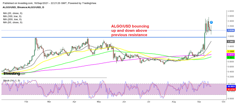 Algorand Crypto Price Prediction – Consolidating Before the Next Bullish Move Algorand Crypto Price Prediction – Consolidating Before the Next Bullish Move