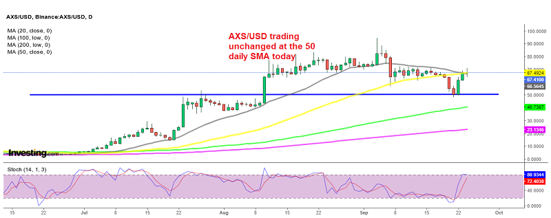 Axie Infinity coin holding the gains