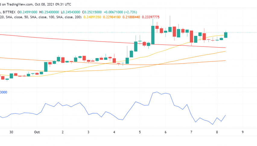 Dogecoin (DOGE) Back on Bullish Track After Slight Dip