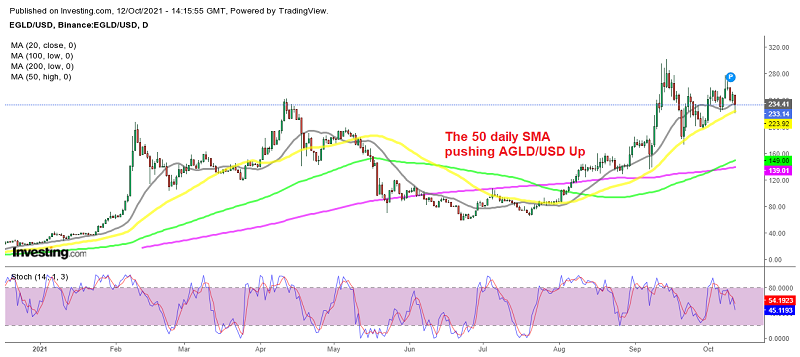 The bullish trend continues for Elrond coin