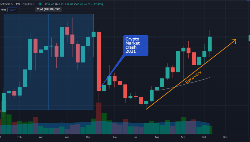 Polkadot (DOT): Completely Recovers from this Year’s Market Crash