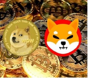 Is it the right time to buy Shiba Inu and Dogecoin now before the bullish move?