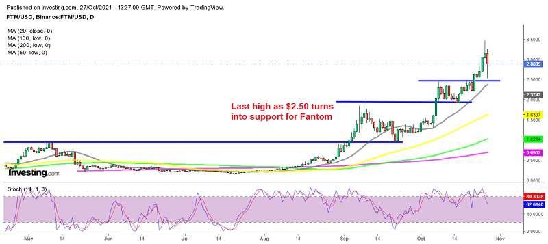 Fantom FTM, Polkadot DOT the Biggest Losers Today, But Is It Over?