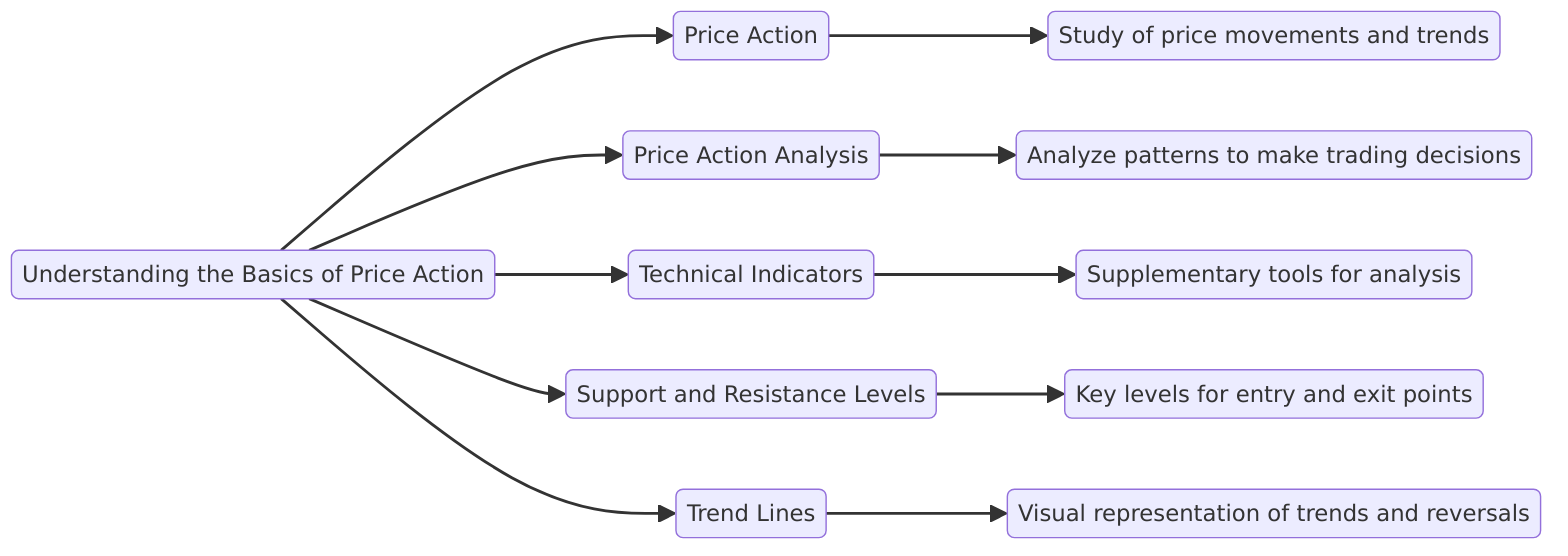 Understanding the Basics of Price Action