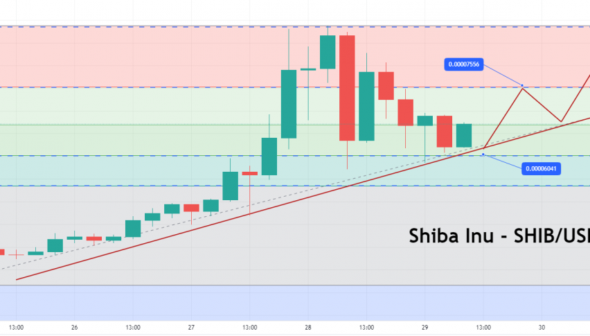 Shiba Inu Price Forecast