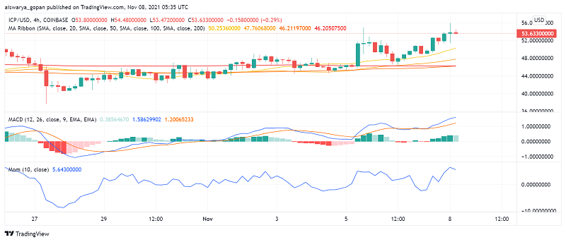 ICP Coin Price Prediction Internet Computer Reboot ICPR