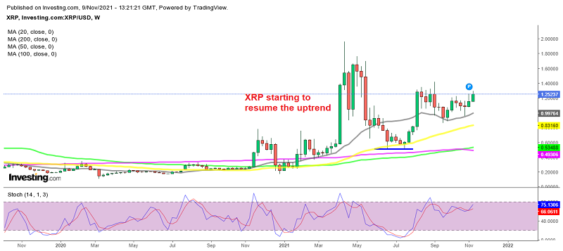 The 20 SMA held as support for Ripple XRP