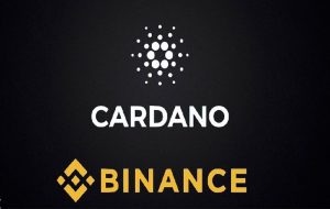 Buyers trying to resume the bullish trend in Binance BNB