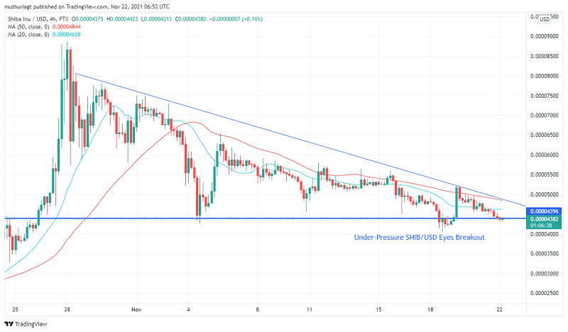 Shiba Inu (SHIB/USD) on a Make-or-Break Level. Will Bulls Stand the Ground?