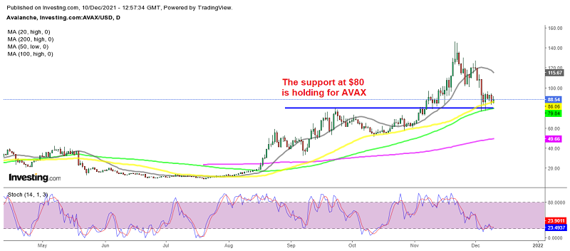 Decisive Time for Avalanche (AVAX) and Polkadot – Time to Turn Bullish?