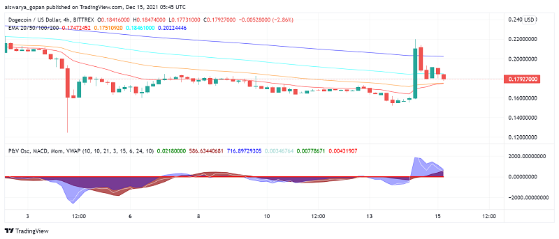 Dogecoin Rallies After Musk Confirms Tesla Will Start Accepting DOGE Payments For Merchandise