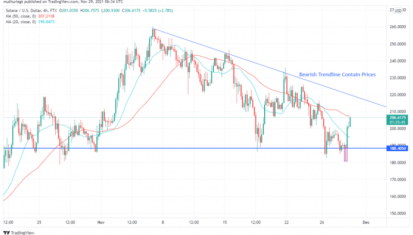 Is Avalanche (AVAX/USD) Now Bullish? USDC News Supporting Token
