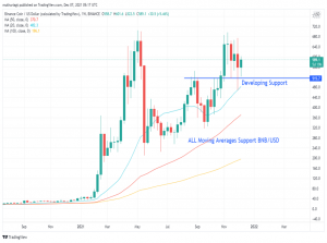 Binance Coin traded at $0.11 against the USD in 2017, with trading volumes of around $250,000. It then gained upward momentum to trade at $21, with trading volumes of about $389.23 million at the beginning of 2018.