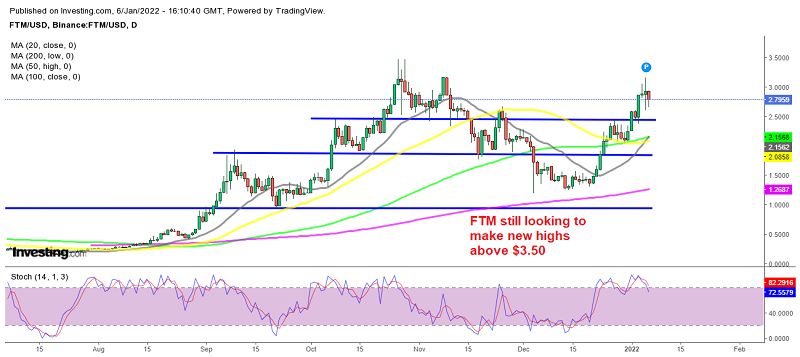 Fantom has barely given back any gains