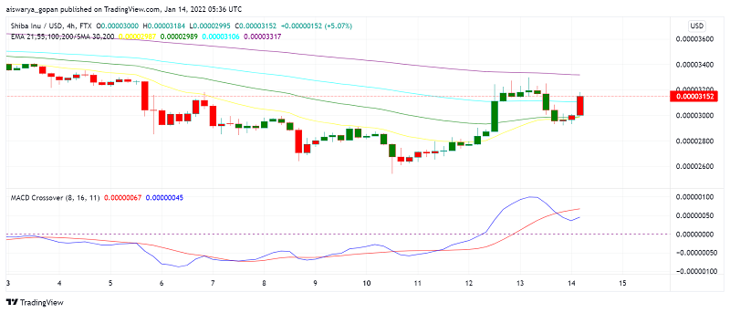 Shiba Inu (SHIB) Shines as Rumors of Robinhood Listing Bring Back Buyers