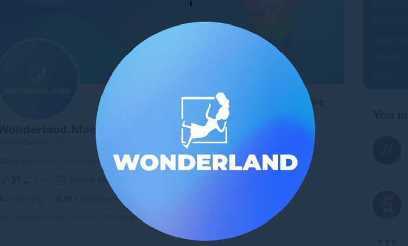 Wonderland is progressing further into DeFi with ve(3,3)