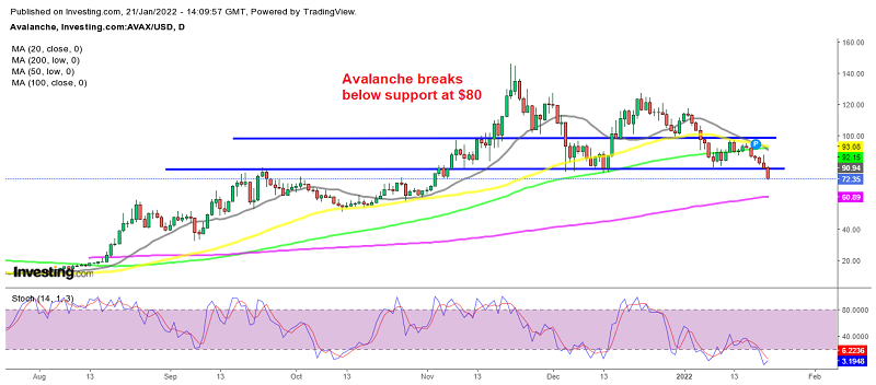 The bearish momentum picks up in the crypto market