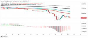 Will Shiba Inu (SHIB) Crack Under $0.000020?
