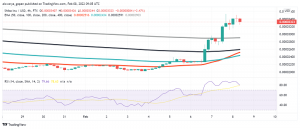 SHIB Price Analysis: Shibarium Announcement Drives Shiba Inu Higher