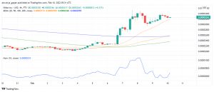 Shiba Inu (SHIB) Rallies After Announcing Plans to Enter Metaverse